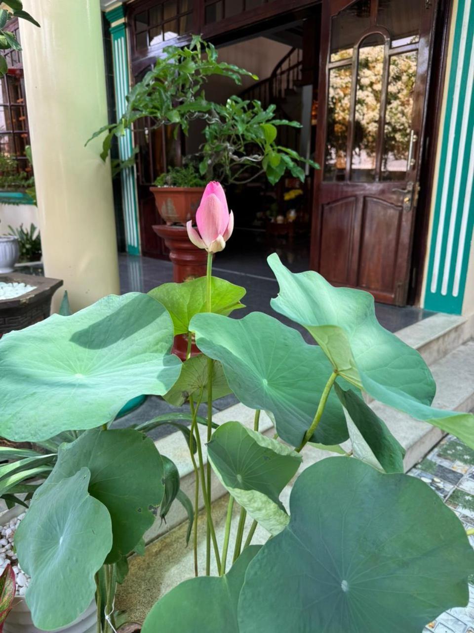 Noel Homestay Tuy Hoa Exteriör bild